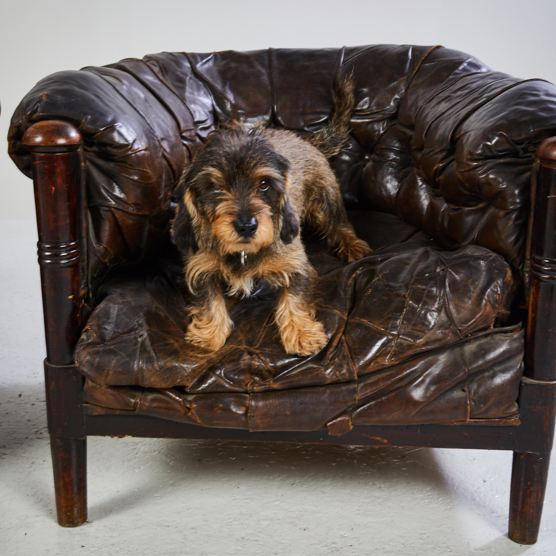 Antique chesterfield armchair - Image 9