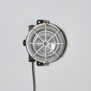 Explosion-proof industrial wall fixture